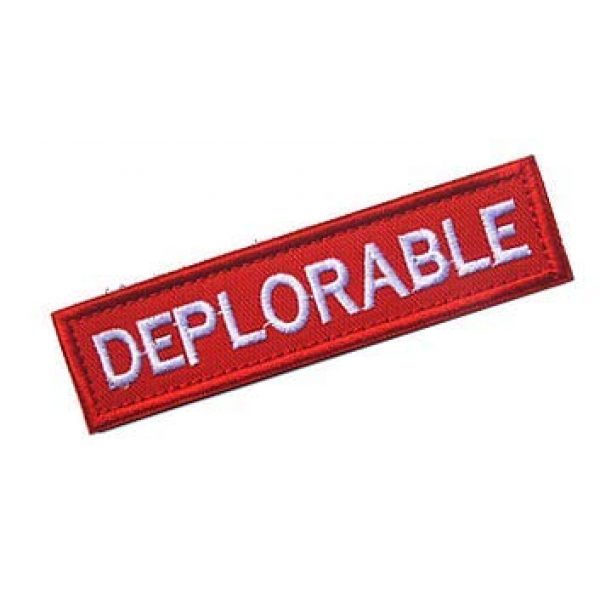 Embroidery Patch Airsoft Morale Patch 2 Deplorable Military Hook Loop Tactics Morale Embroidered Patch (color2)