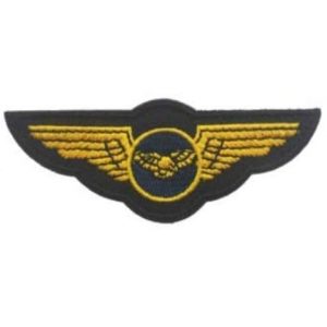 Tactical Embroidery Patch Airsoft Morale Patch 1 Flying Wings Gasoline Hot Rod Drag Halloween MC Tactical Embroidery Patch Hook & Loop Morale Patch Military Patch for Clothing Accessory Backpack Armband