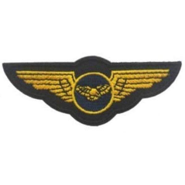 Tactical Embroidery Patch Airsoft Morale Patch 1 Flying Wings Gasoline Hot Rod Drag Halloween MC Tactical Embroidery Patch Hook & Loop Morale Patch Military Patch for Clothing Accessory Backpack Armband