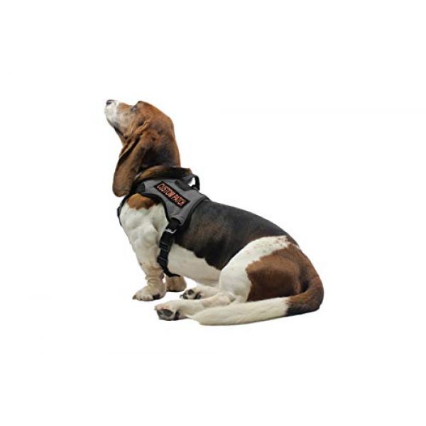 Dogline Airsoft Morale Patch 5 Dogline Custom Patch w/Glitter Letters for Dog Vest, Harness or Collar | Customizable Bling Text | Personalized Patches w/Hook Backing | Name, Agility, Service Dog, ESA