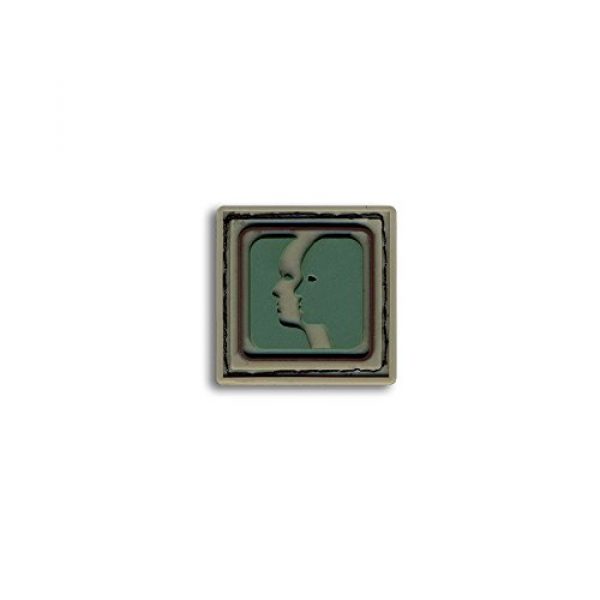 BASTION Airsoft Morale Patch 1 Bastion Tactical Combat Badge PVC Morale Patch Hook and Loop Patch - Gemini Lite Grn