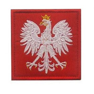 Embroidery Patch Airsoft Morale Patch 1 Poland Flag Polska Eagle Special Force GROM Military Hook Loop Tactics Morale Embroidered Patch (color1)