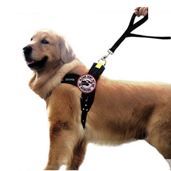 U-LIAN Airsoft Morale Patch 5 U-LIAN 2 Pcs Service Dog Working Do Not Touch Tactical Morale Patch for Dog Vest Harness with Hook Loop Fastener - Please Do Not Pet Me I'm Working Badge