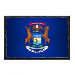 P PULLPATCH Airsoft Morale Patch 1 Michigan State Flag - Color Morale Patch | Hook and Loop Attach for Hats, Jeans, Vest, Coat | 2x3 in | by Pull Patch