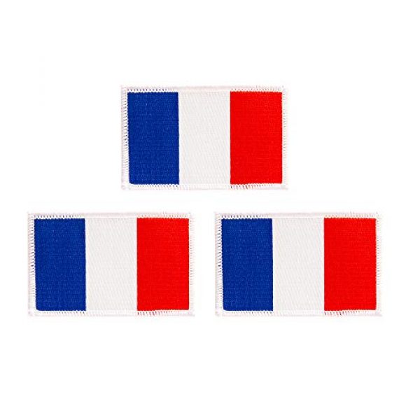 Desert Cactus Airsoft Morale Patch 1 France Flag Patch Bulk 3-Pack 3.5Wx2.25H State Iron On Sew Embroidered Tactical Morale Back Pack Hat Bags French (3-Pack Patch)