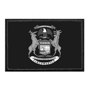 P PULLPATCH Airsoft Morale Patch 1 Michigan State Flag - Black and White Morale Patch | Hook and Loop Attach for Hats, Jeans, Vest, Coat | 2x3 in | by Pull Patch
