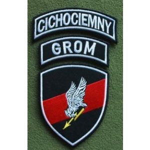 Tactical Embroidery Patch Airsoft Morale Patch 1 Polish Special Force GROM Unit Shield + Cichociemny Tab Tactical Embroidery Patch Hook & Loop Morale Patch Military Patch for Clothing Accessory Backpack Armband (color1)