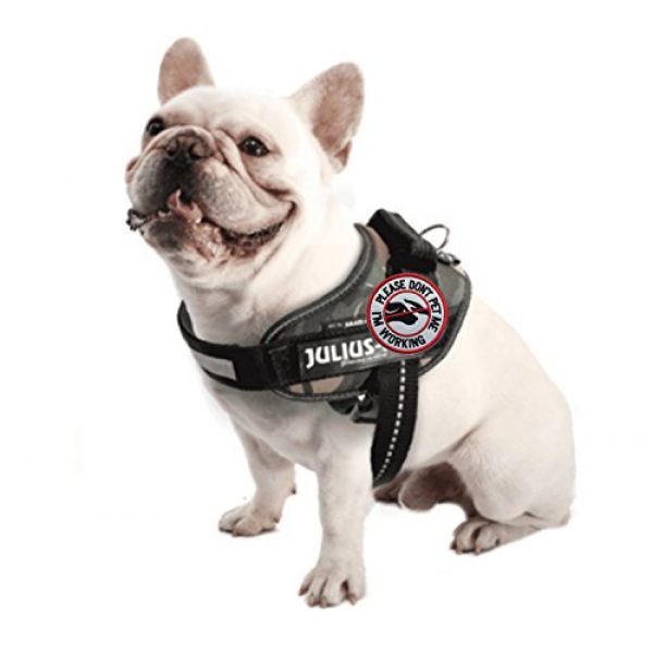 U-LIAN Airsoft Morale Patch 4 U-LIAN 2 Pcs Service Dog Working Do Not Touch Tactical Morale Patch for Dog Vest Harness with Hook Loop Fastener - Please Do Not Pet Me I'm Working Badge