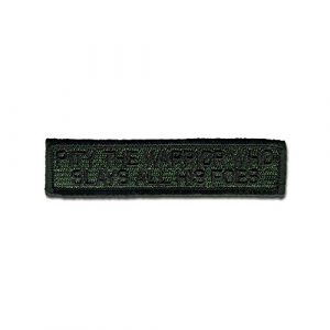 BASTION Airsoft Morale Patch 1 BASTION Morale Patches (Pity The Warrior, ODG) | 3D Embroidered Patches with Hook & Loop Fastener Backing | Well-Made Clean Stitching | Military Patches Ideal for Tactical Bag, Hats & Vest