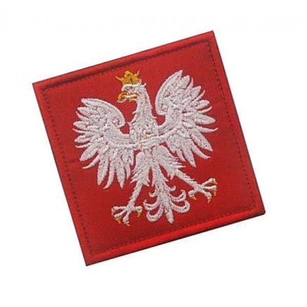 Embroidery Patch Airsoft Morale Patch 2 Poland Flag Polska Eagle Special Force GROM Military Hook Loop Tactics Morale Embroidered Patch (color1)