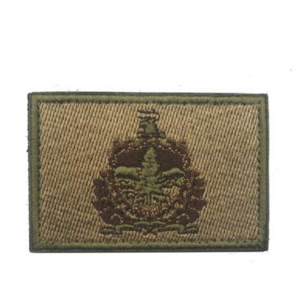 Tactical Embroidery Patch Airsoft Morale Patch 1 State Flag of Vermont Embroidery Patch Military Tactical Morale Patch Badges Emblem Applique Hook Patches for Clothes Backpack Accessories