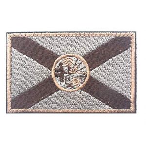 Tactical Embroidery Patch Airsoft Morale Patch 1 State Flag of Florida Embroidery Patch Military Tactical Morale Patch Badges Emblem Applique Hook Patches for Clothes Backpack Accessories