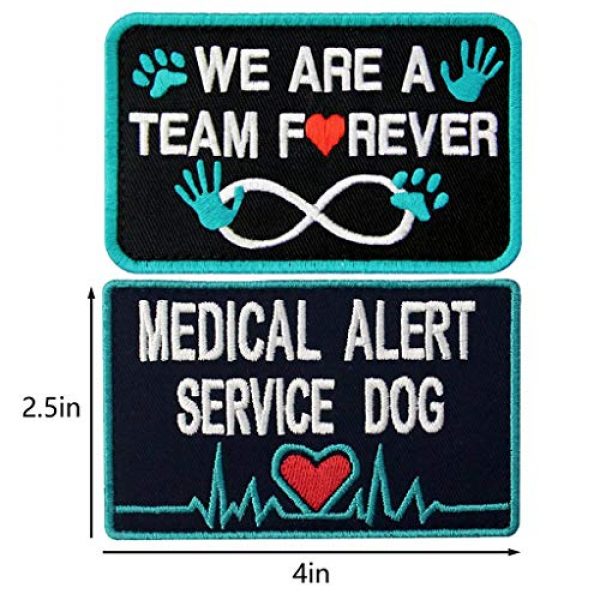 TailWag Planet Airsoft Morale Patch 2 Service Dog Medical Not All Disabilities are Visible Alert Vest/Harnesses Tactical Morale Patch Embroidered Badge Fastener Hook & Loop Emblem, 6 Pcs, Blue