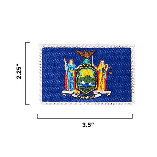 Desert Cactus Airsoft Morale Patch 2 New York Flag Patch 3.5 inch x 2.25 inch Iron On Sew Embroidered Tactical Backpack Hat Bags (Single Patch)
