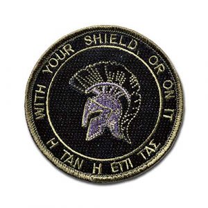 BASTION Airsoft Morale Patch 1 BASTION Morale Patches (Molon Challenge, ACU) | 3D Embroidered Patches with Hook & Loop Fastener Backing | Well-Made Clean Stitching, Military Patches Ideal for Tactical Bag, Hats & Vest