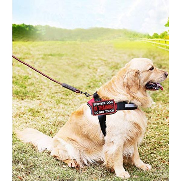 Ehope Airsoft Morale Patch 5 Patch Service Dog in Training Do Not Touch Vests/Harnesses Emblem Embroidered Fastener Hook & Loop Patch(Service Dog in Training-5)