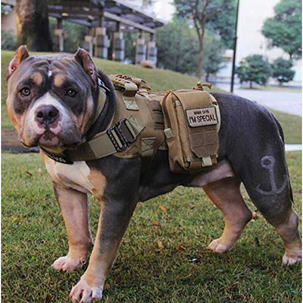Antrix Airsoft Morale Patch 6 2 Pack Tactical American Flag with Dog Tracker, USA Flag/Dog Paw Patch, Milltary Embroidered Applique Emblem Badge Hook & Loop Patch for Service Dogs