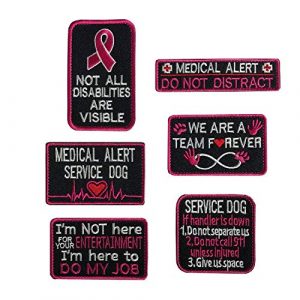 Xunqian Airsoft Morale Patch 1 Bundle 6 Pieces Service Dog I'm Working Service Dog Working in Training Do Not Touch Full Embroidered Patch for Dogs and Pets (E-6 Pcs Pink)