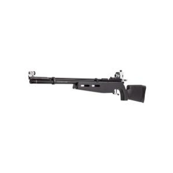 Crosman Air Rifle 1 Crosman Challenger, Open Sights 0.177