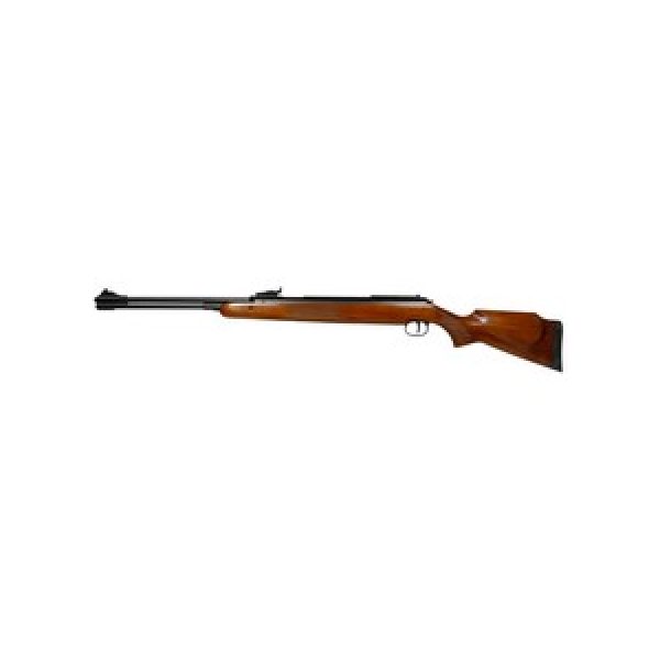 Diana Air Rifle 1 Diana RWS 460 Magnum, .22 cal 0.22