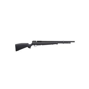 Benjamin Air Rifle 1 Benjamin Fortitude, .22 Caliber 0.22