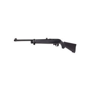 Ruger Air Rifle 1 Ruger 10/22 0.177