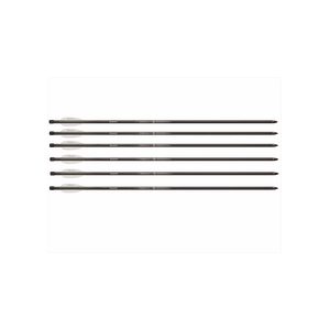 Benjamin Pellets and BBs 1 Benjamin Airbow Arrows 26", 6 pack