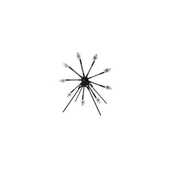 Sig Sauer Air Gun Accessory 1 SIG Sauer Texas Star Target