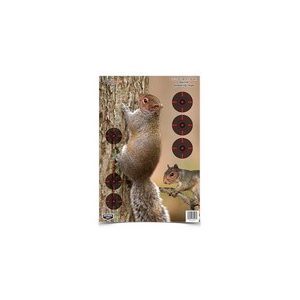 Birchwood Casey Air Gun Accessory 1 Birchwood Casey Pregame Squirrel Target Game Targets