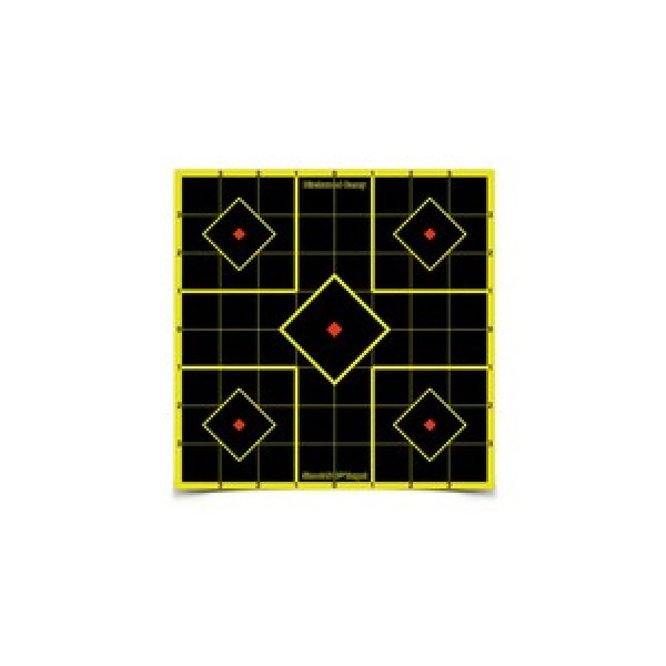 Birchwood Casey Air Gun Accessory 1 Birchwood Casey Shoot-N-C 8" Sight-In Targets, 6 ct