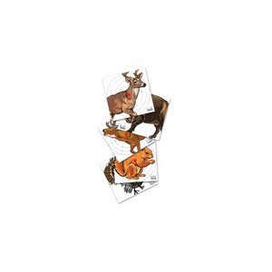 Umarex Air Gun Accessory 1 Umarex Paper Targets, 100 ct