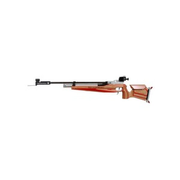 Feinwerkbau Fwb Air Rifle 1 Feinwerkbau P75 Biathlon 0.177