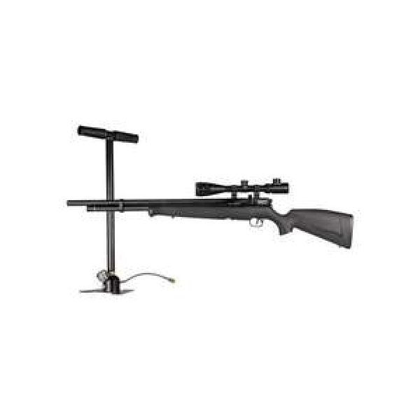 Benjamin Air Rifle 1 Benjamin Fortitude Premium Combo, .177 Caliber 0.177