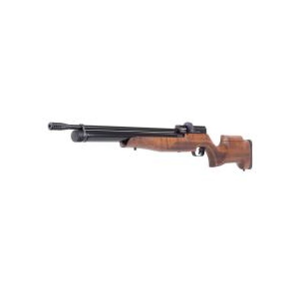 Benjamin Air Rifle 1 Benjamin Cayden 0.22